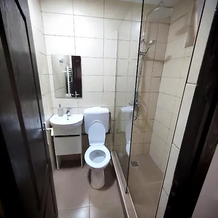 Apartment Casa Cu Hortensii